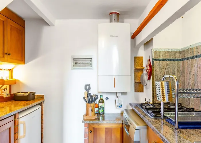 Guesthost - Renaissance Romance - Gem Floransa